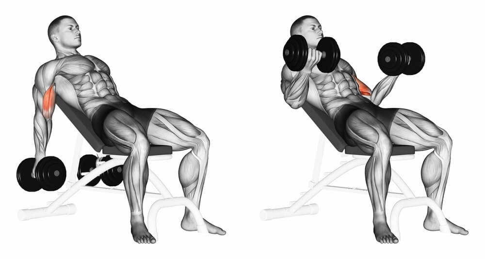 Incline-dumbbell-curl